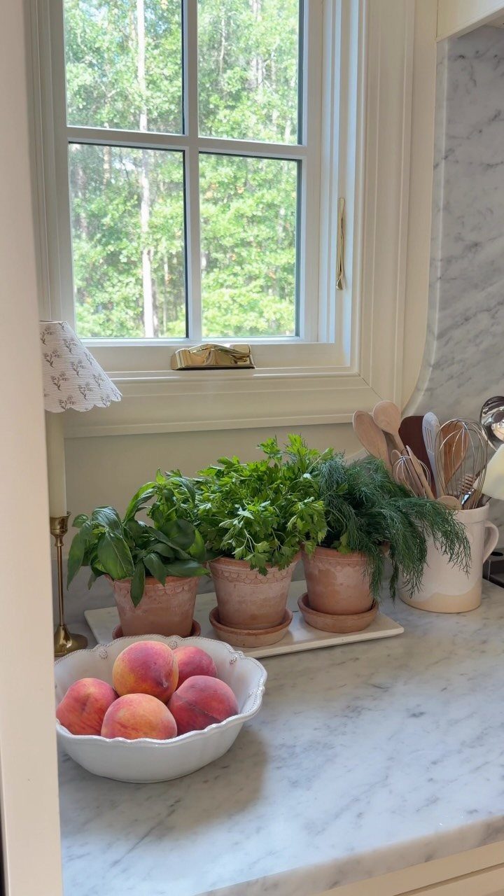 Three terracotta pots of fresh green herbs sitting on a marble kitchen countertop near a window.
