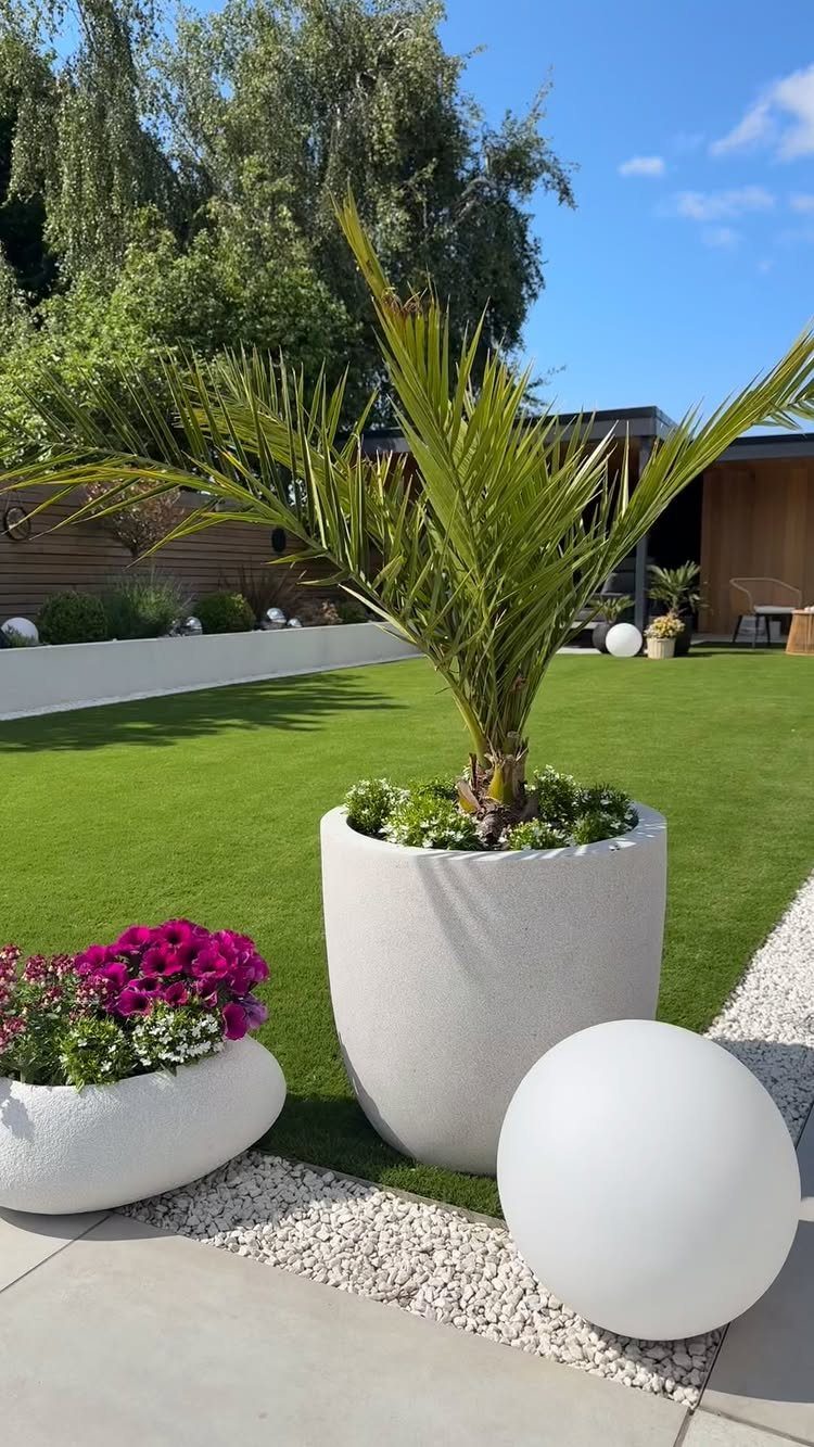 Large white stone planters containing a palm and pink flowers on a green lawn.